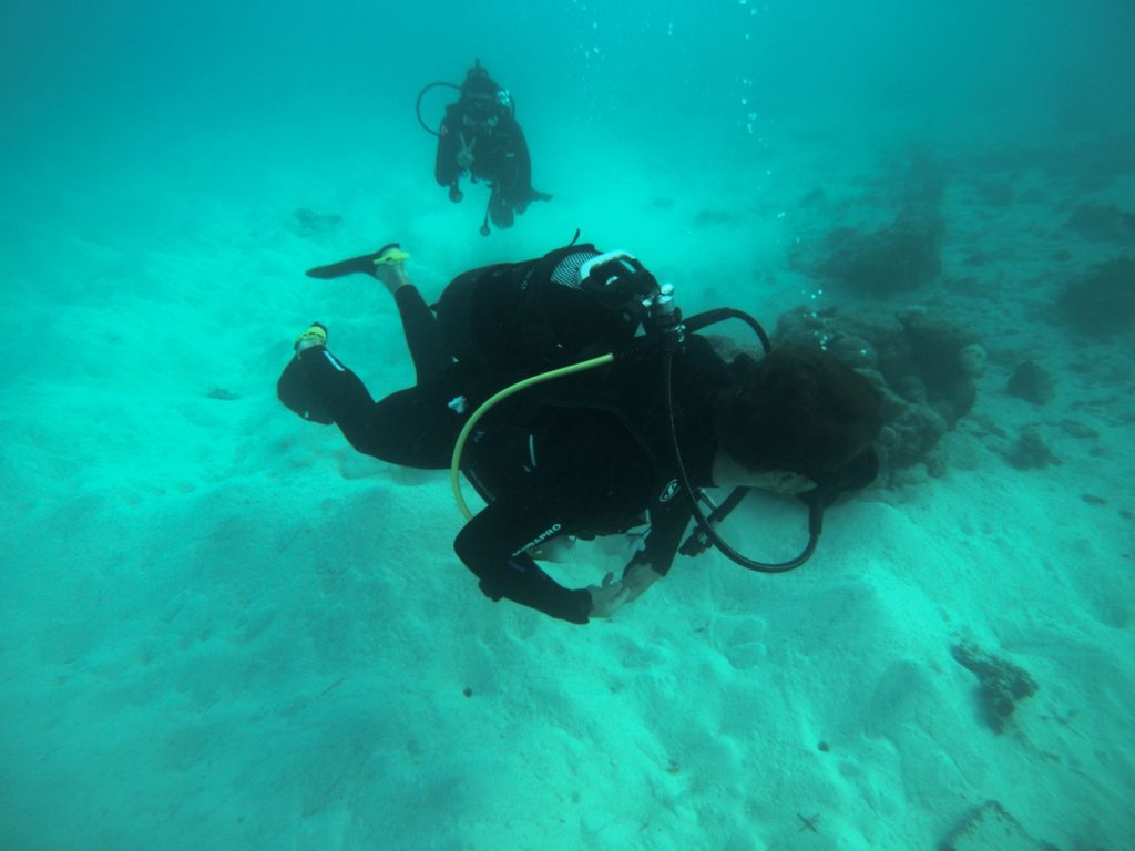 Diving Mauritius