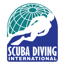 scuba-diving-international-logo-png_seeklogo-171657